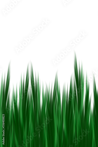 abstract view of plants, herbs, leaves in green color