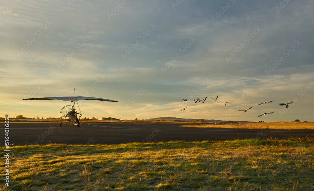 Geese band flying close to an ultralight aircraft Geese band flying close to an ultralight aircraft