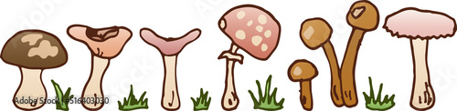 A set of illustrations of mushrooms and grass with an outline. Champignon, syroezhka, oyster and honey mushrooms, fly agaric, eps ready for use. For your design