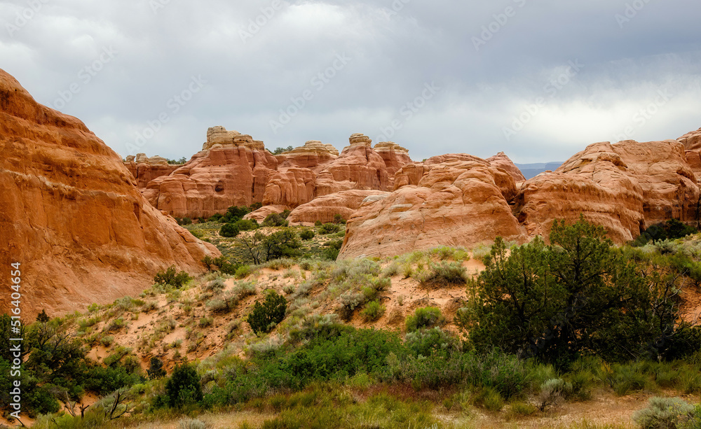 Views of Arches National Park