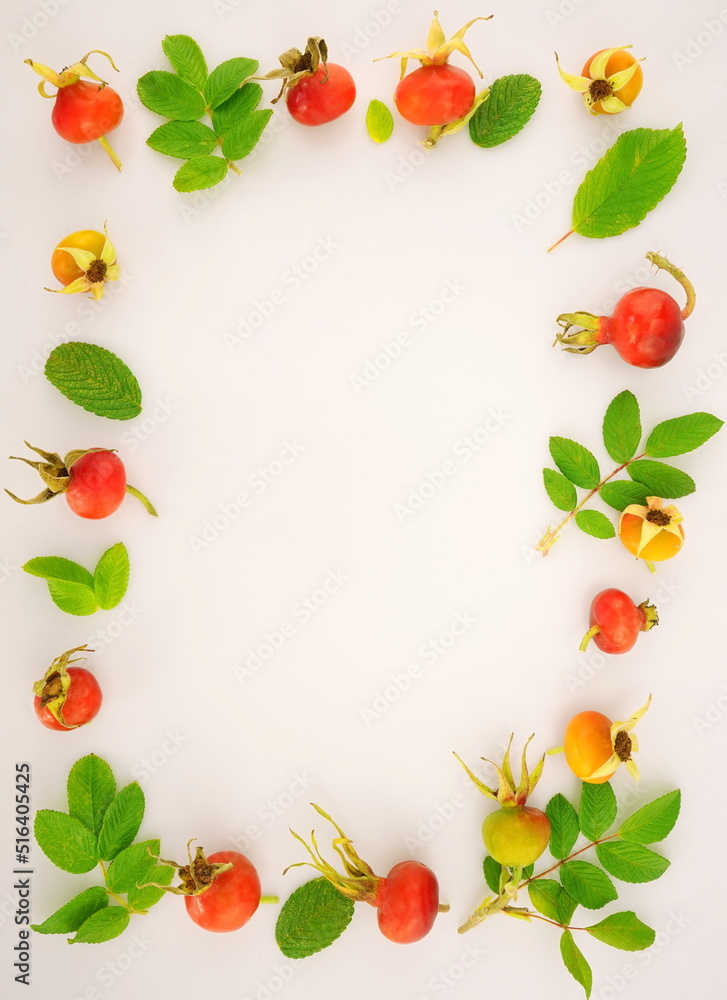 Rose hips isolated on white background. Berries for medicinal tea. Frame of colorful bright leaves and brier. Autumn concept. Top view, copy space, flat lay. Rose hips isolated on white background. Berries for medicinal tea. Frame of colorful bright leaves and brier. Autumn concept. Top view, copy space, flat lay.