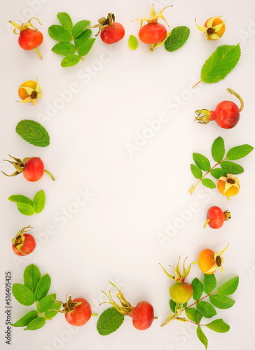 Rose hips isolated on white background. Berries for medicinal tea. Frame of colorful bright leaves and brier. Autumn concept. Top view, copy space, flat lay. 