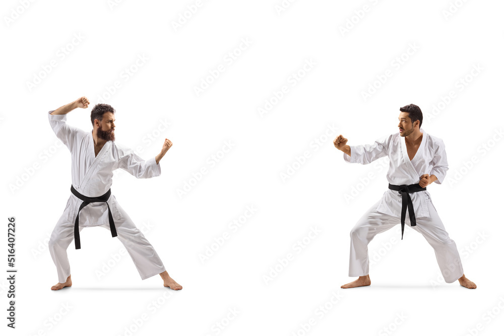 Profile shot of two men training karate combat Profile shot of two men training karate combat