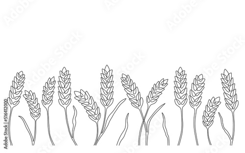 Wheat grain ear border, nature pattern, continuous art line drawing. Linear sketch of wheat, barley, rice, corn, oat ear and grain. Outline spica plant for agriculture, cereal products, bakery. Vector