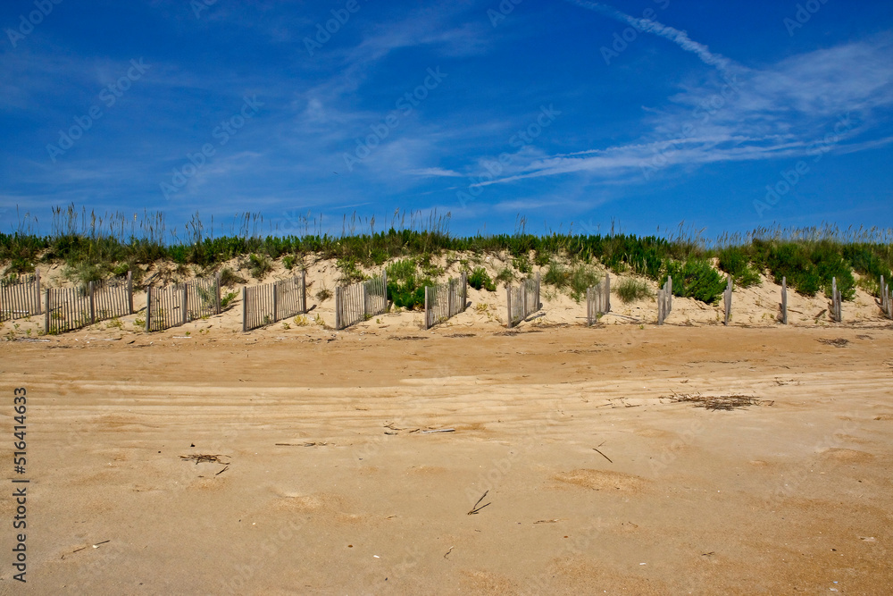 Sand Dune at the Beach