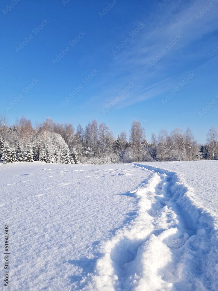 The beauty of nature from Latvia The beauty of nature from Latvia