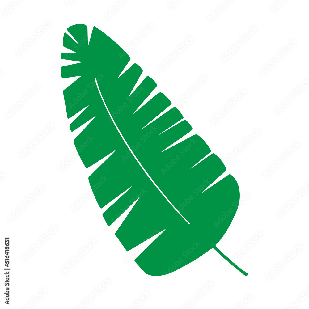 Tropical leaf vector illustration on white background