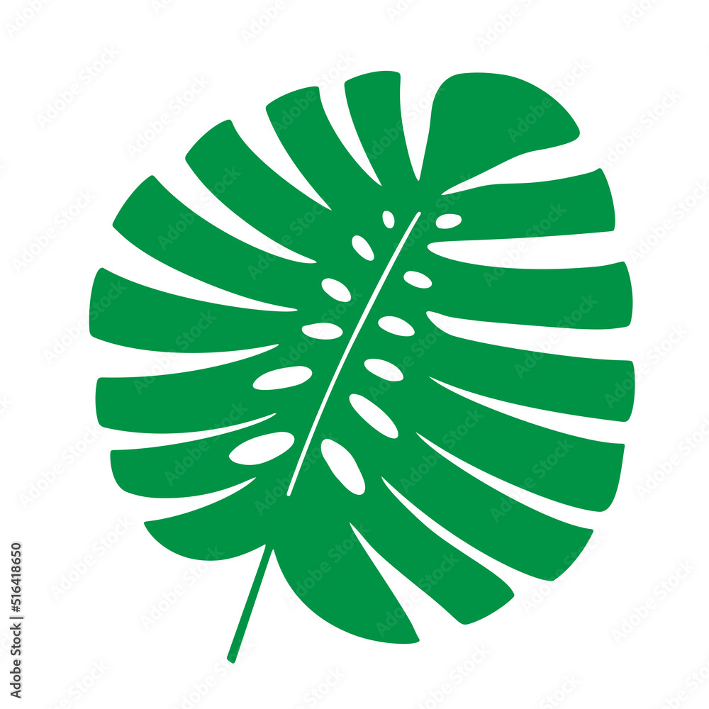 Tropical leaf vector illustration on white background