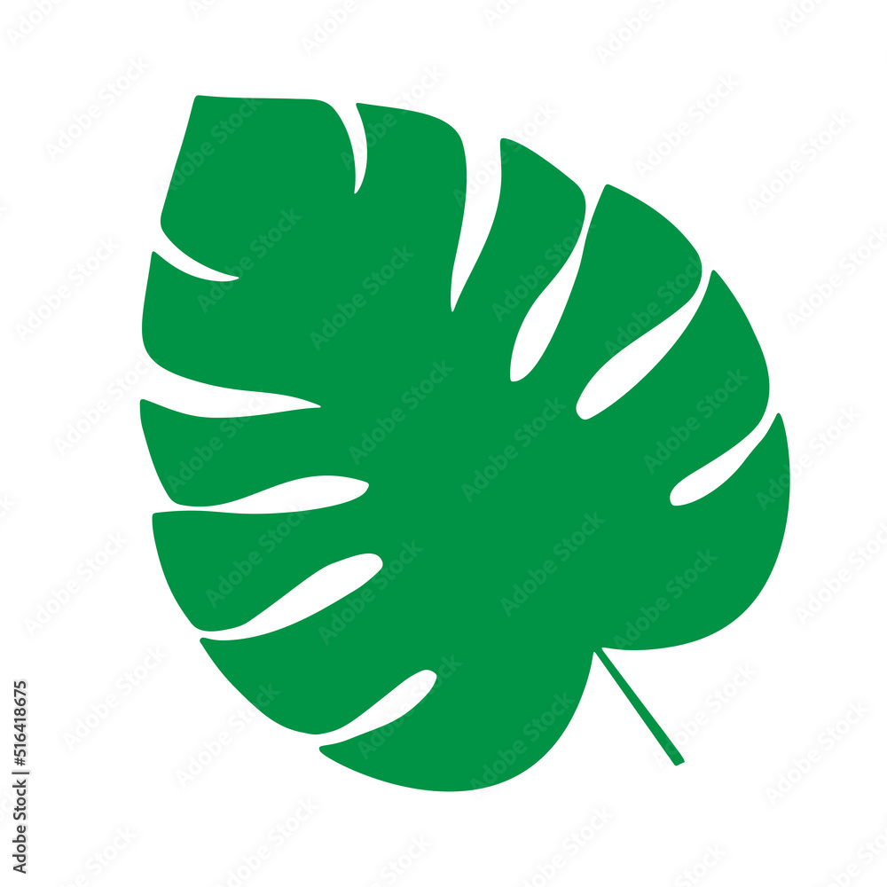 Tropical leaf vector illustration on white background