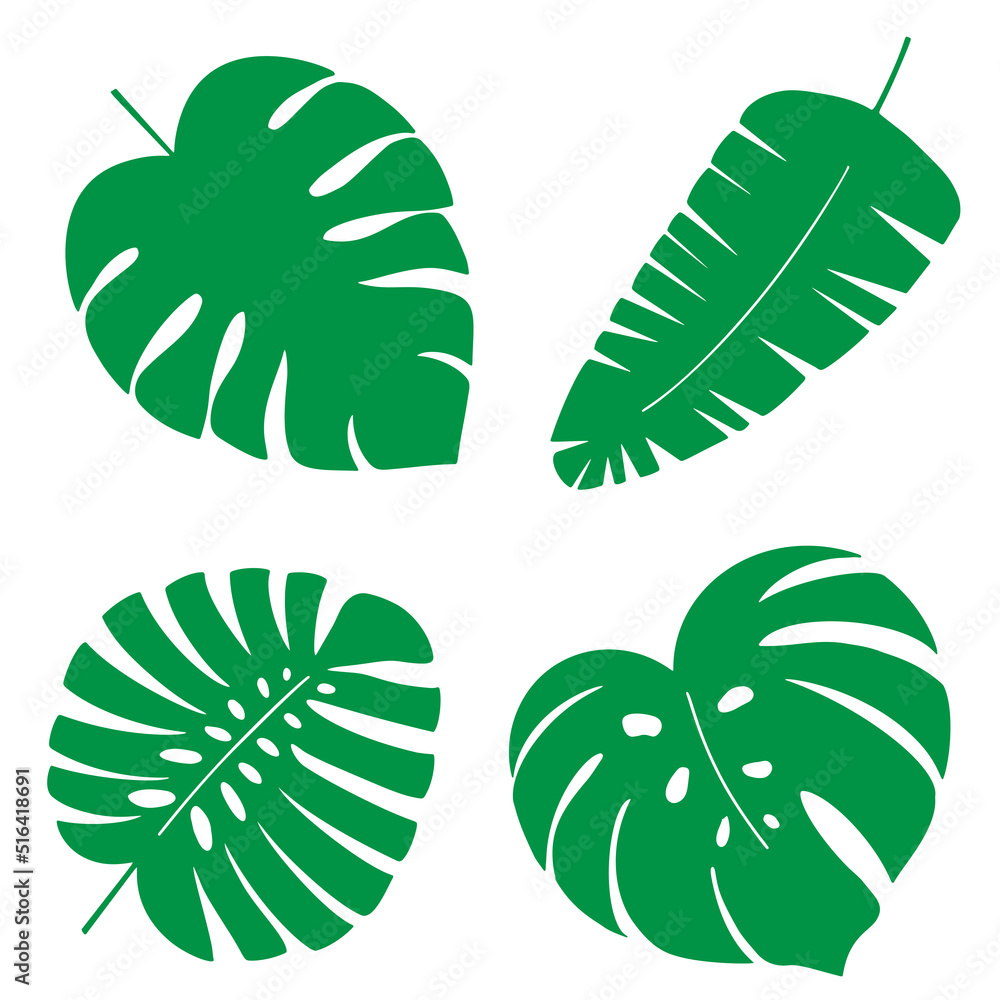 Tropical leaves vector collection on the white background