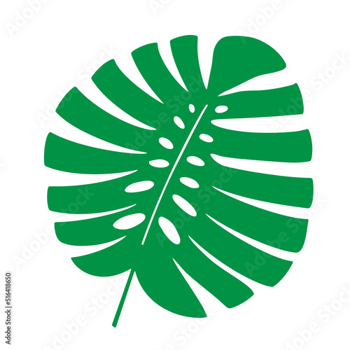 Obraz na płótnie Tropical leaf vector illustration on white background w salonie