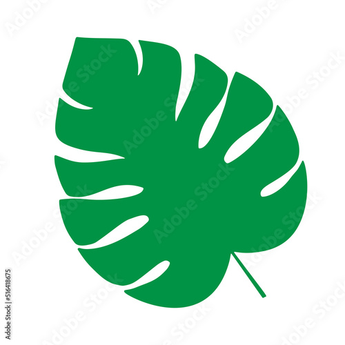 Obraz na płótnie Tropical leaf vector illustration on white background w salonie