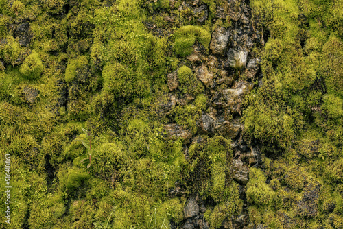 textures