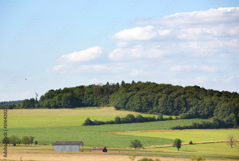 barns in green summer landscape of belgian ardennes in province of namur under blue summer sky