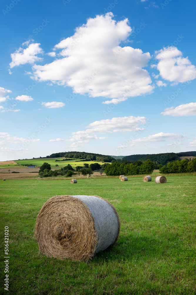 countryside landscape of belgian ardennes region near han sur lesse and rochefort with hay bales under blue sky