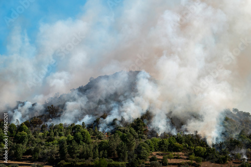 Incêndio florestal à volta da montanha numa floresta rodeada de pinheiros, com o fumo branco a subir pelo céu photo