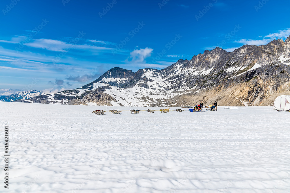A view of a dog sleigh on the Denver glacier close to Skagway, Alaska in summertime
