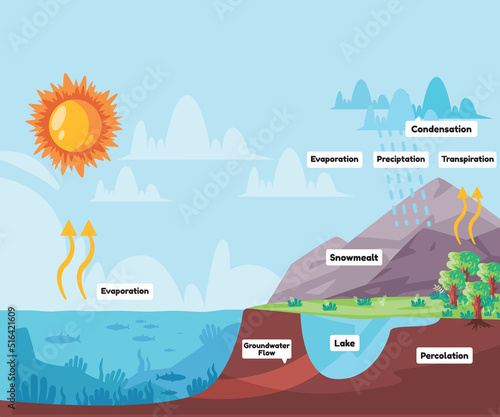 Water cycle process water evaporates to atmosphere condenses into rain in clouds and falls precipitation rain