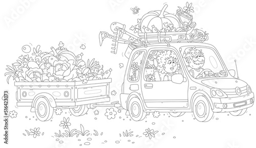 Happy grandpa and grandma with a funny cat, grown vegetables and garden instruments returning from their summer cottage in a car with a small trailer, vector cartoon illustration