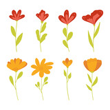 Set of simple Vector Flowers. Vector flat floral illustration