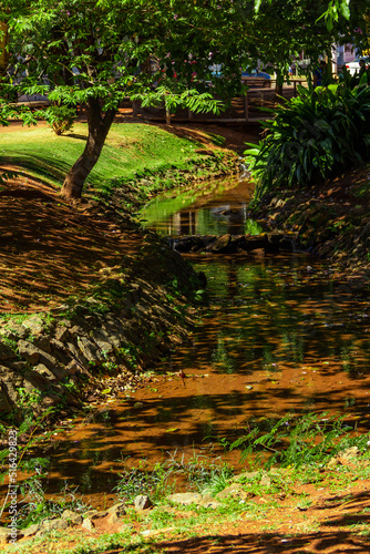 Detalhe de uma vista do Parque Ambiental do Ipiranga na cidade de Anápolis. photo