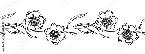 seamless floral pattern decorative border, hand drawn doodle vector for invitations, posters, postcards in art nouveau style.
