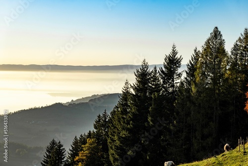 Lake geneva from Mont Pelerin photo