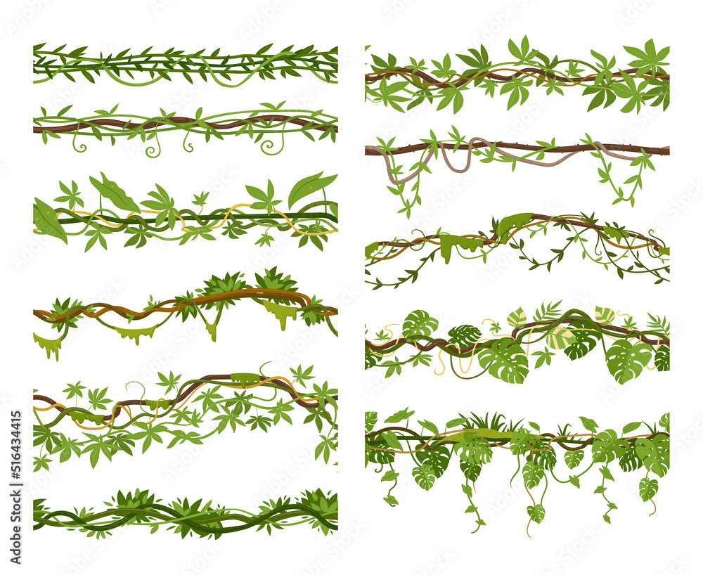 Tropical liana branches cartoon borders, creepers seamless dividers. Jungle hanging roots vegetated green foliage and flowers vector illustration set. Rainforest garden liana plants - obrazy, fototapety, plakaty 