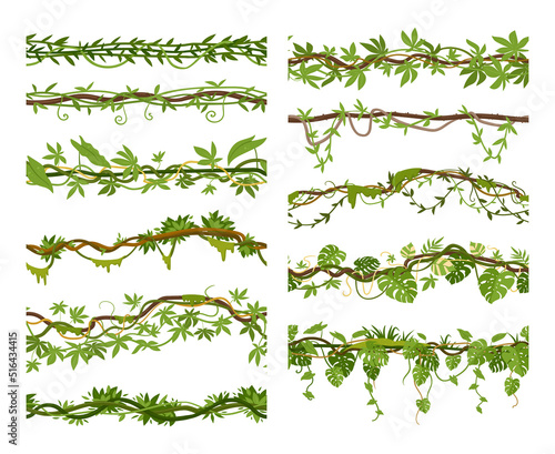 Obraz na płótnie Tropical liana branches cartoon borders, creepers seamless dividers