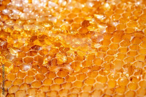 Fotografía Drops of thick golden honey flowing along the frame of honeycombs