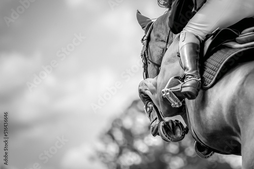 Horse Jumping, Equestrian Sports, Show Jumping themed photo. photo