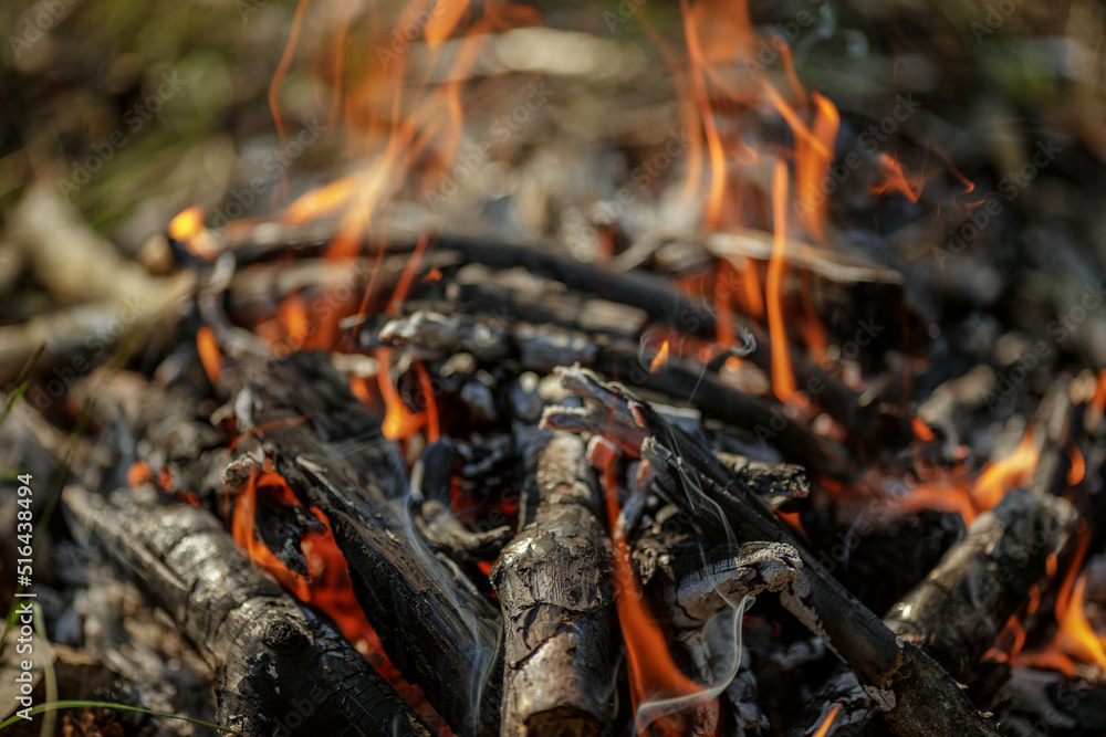 Close up of burning timber bonfire in summer forest..The concept of adventure, travel, tourism, camping, survival and evacuation. Close up of burning timber bonfire in summer forest..The concept of adventure, travel, tourism, camping, survival and evacuation.