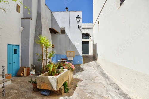 The Apulian village of Presicce. photo