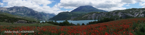 panoramic view of mountains of the alps france with serre ponçon lake and a field of red poppies