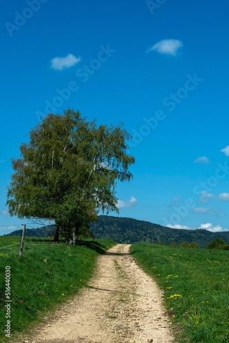 Vertical shot of a narrow trail in a fieldwith trees and hillsin the background photo