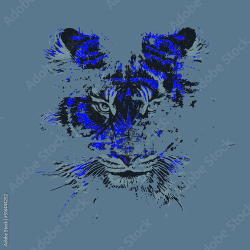 Tiger Artwork, Tiger Design, Grunge Tiger Head