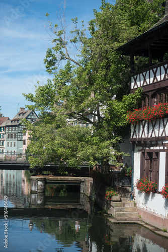 view of trees in border the Il river at the little france quarter and medieval house in Strasbourg