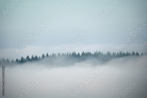 misty morning in the mountains © Jan