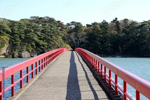 Red bridge to a pine island in Matsushima Bay. photo