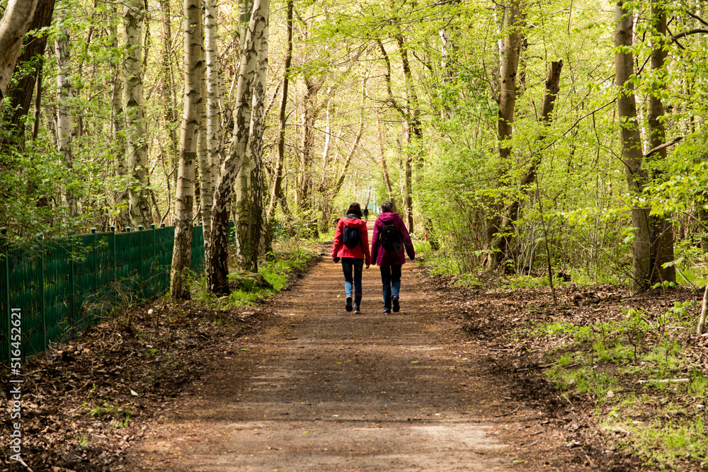 © rparys - walk along the forest path in the spring © rparys - walk along the forest path in the spring