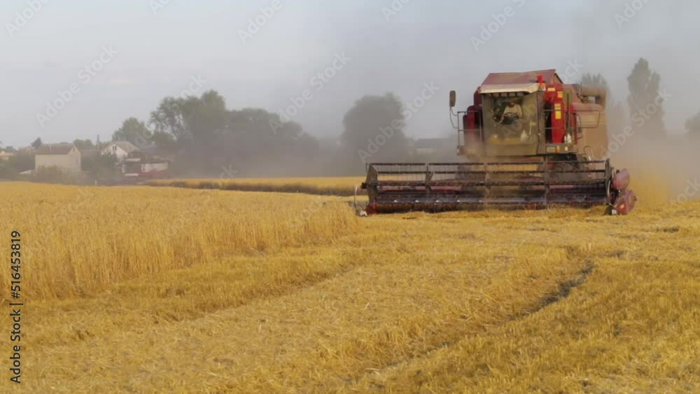 Combine Harvester Working on a Field. Seasonal Harvesting the Wheat. Agriculture. Farm. Crop. Agrarian business. Industry. Foodstuff.