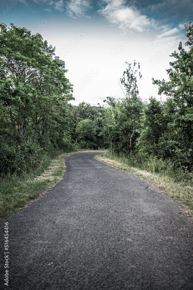 Small road through forest