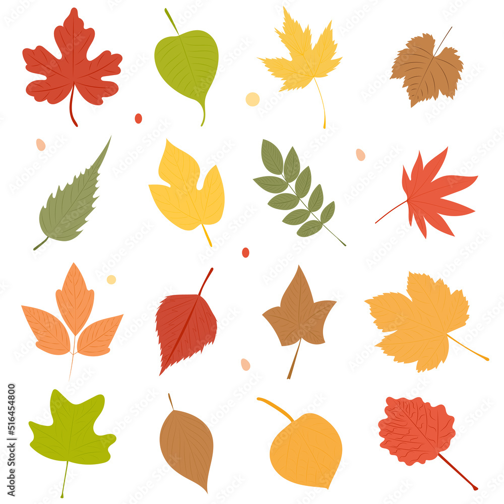 leaves set silhouette, isolated, vector leaves set silhouette, isolated, vector