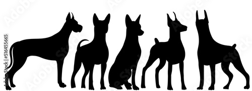 dogs black silhouette, isolated, vector