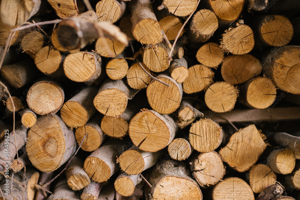 Logs stacked on top of each other. Firewood for kindling. Background and texture. Cut and cross-section of the tree. Logs stacked on top of each other. Firewood for kindling. Background and texture. Cut and cross-section of the tree.