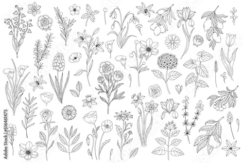 Set abstract elegant line art flower and leaf. Continuous boho line art silhouette of floral artwork
