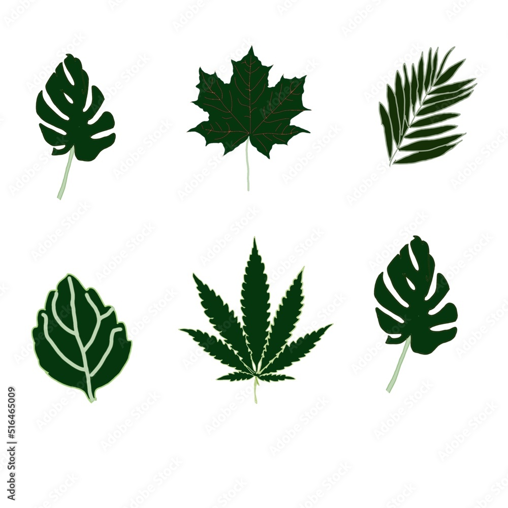 collection of green leaves collection of green leaves