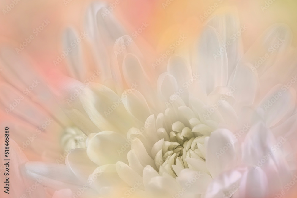 Artistic Flower Close-up Artistic Flower Close-up