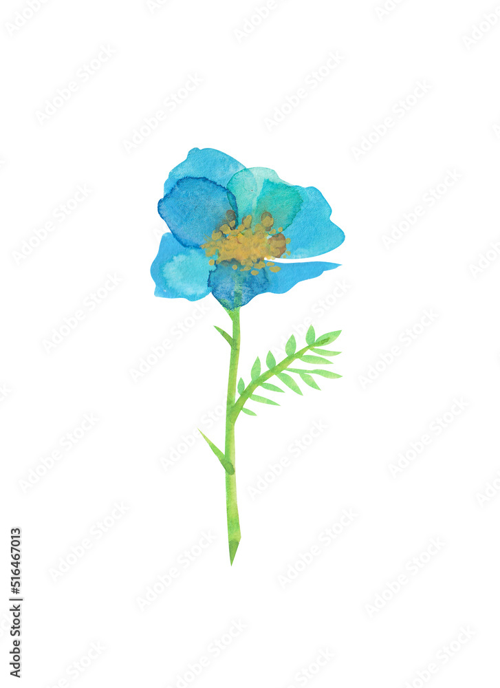 blue flower blue flower