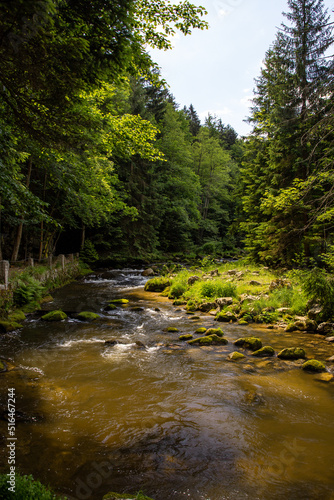 mountain stream in karkonosze national park in poland in summer